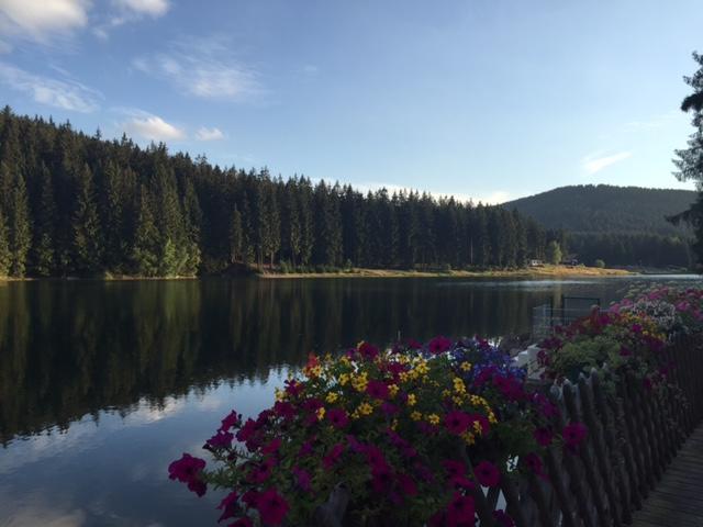 Holidayhaus Luetsche Frankenhain ภายนอก รูปภาพ