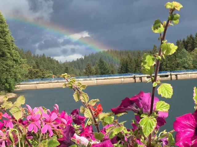 Holidayhaus Luetsche Frankenhain ภายนอก รูปภาพ